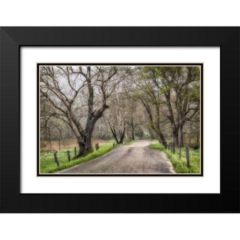 Memory Lane II Black Modern Wood Framed Art Print with Double Matting by Head, Danny