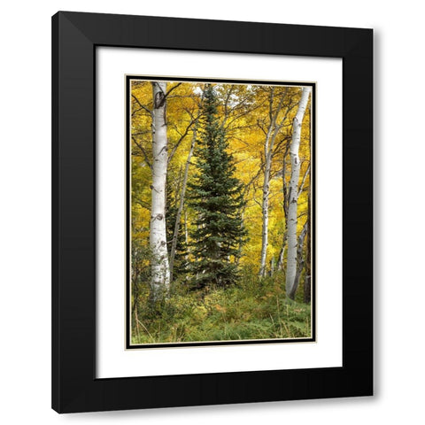 Stuck in the Middle Black Modern Wood Framed Art Print with Double Matting by Head, Danny