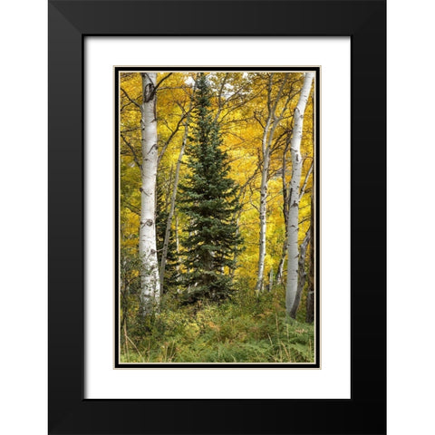 Stuck in the Middle Black Modern Wood Framed Art Print with Double Matting by Head, Danny