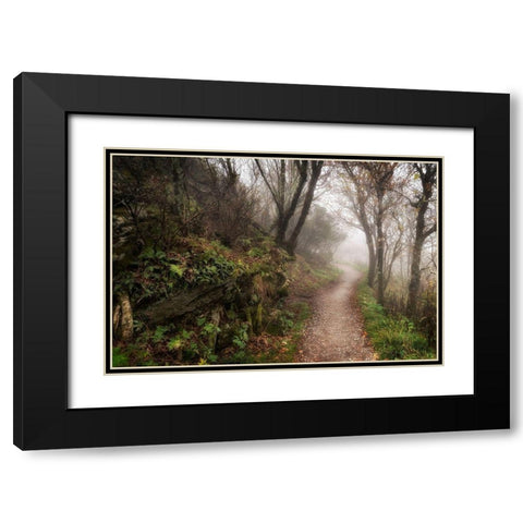 Hikers Dream Black Modern Wood Framed Art Print with Double Matting by Head, Danny