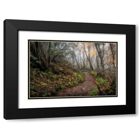Long Walk Black Modern Wood Framed Art Print with Double Matting by Head, Danny