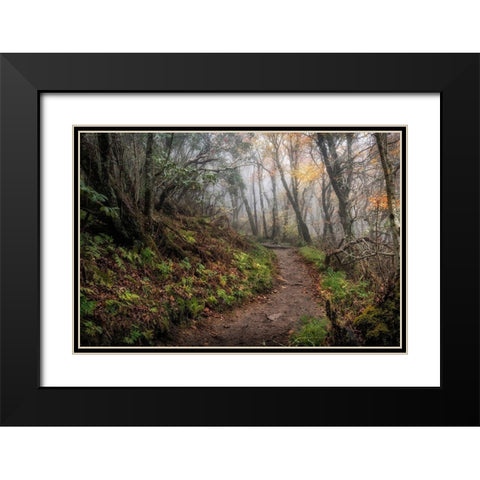 Long Walk Black Modern Wood Framed Art Print with Double Matting by Head, Danny