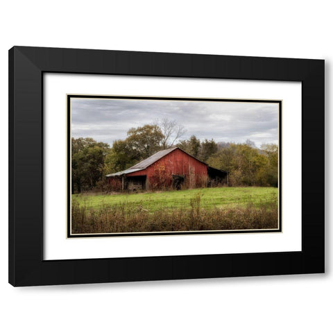 Warm Autumn Black Modern Wood Framed Art Print with Double Matting by Head, Danny