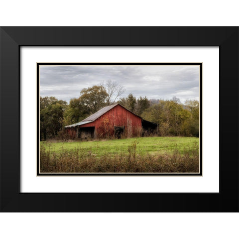 Warm Autumn Black Modern Wood Framed Art Print with Double Matting by Head, Danny