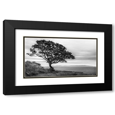 Survivor Black Modern Wood Framed Art Print with Double Matting by Head, Danny