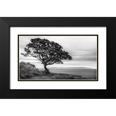 Survivor Black Modern Wood Framed Art Print with Double Matting by Head, Danny