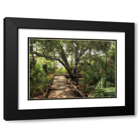 Tropical Walk Black Modern Wood Framed Art Print with Double Matting by Head, Danny