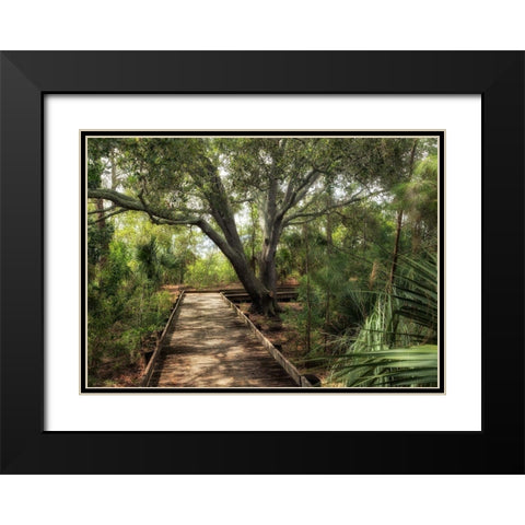 Tropical Walk Black Modern Wood Framed Art Print with Double Matting by Head, Danny