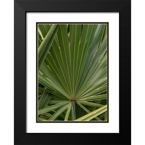 Palm Detail III Black Modern Wood Framed Art Print with Double Matting by Head, Danny