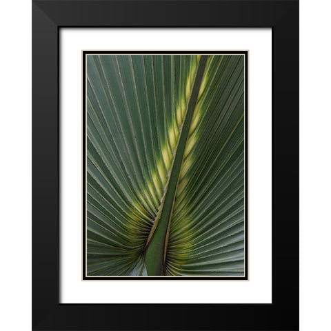 Palm Detail IV Black Modern Wood Framed Art Print with Double Matting by Head, Danny