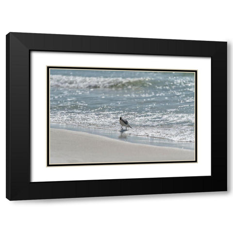 Wading I Black Modern Wood Framed Art Print with Double Matting by Head, Danny