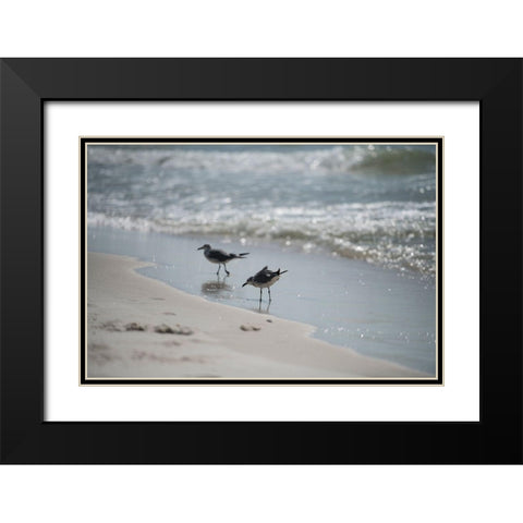 Wading II Black Modern Wood Framed Art Print with Double Matting by Head, Danny