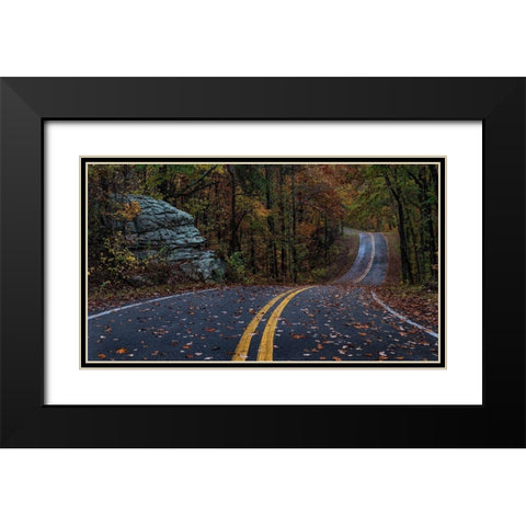 Autumn Drive III Black Modern Wood Framed Art Print with Double Matting by Head, Danny