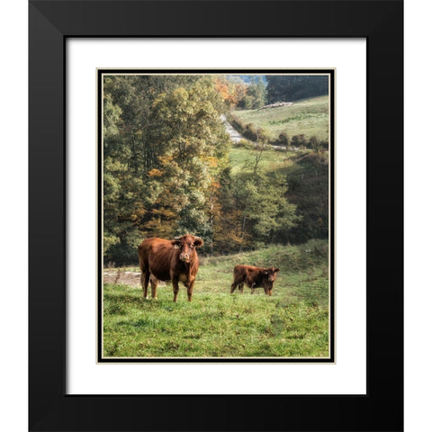 Moo Black Modern Wood Framed Art Print with Double Matting by Head, Danny