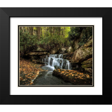 Lower Elakala Falls Black Modern Wood Framed Art Print with Double Matting by Head, Danny