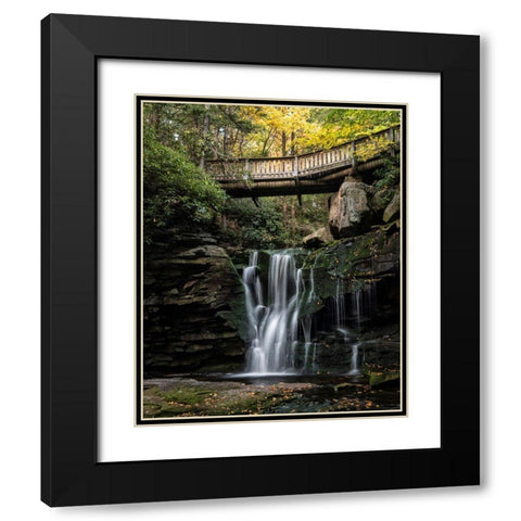 Elakala Falls I Black Modern Wood Framed Art Print with Double Matting by Head, Danny