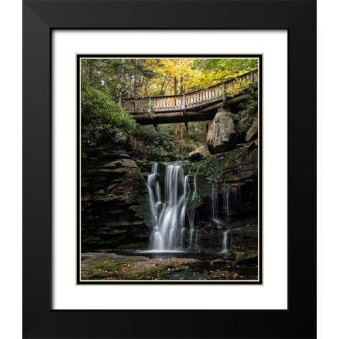 Elakala Falls I Black Modern Wood Framed Art Print with Double Matting by Head, Danny