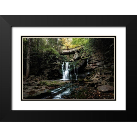 Elakala Falls II Black Modern Wood Framed Art Print with Double Matting by Head, Danny
