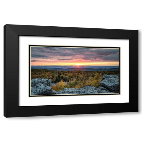 Yellow Dawn I Black Modern Wood Framed Art Print with Double Matting by Head, Danny