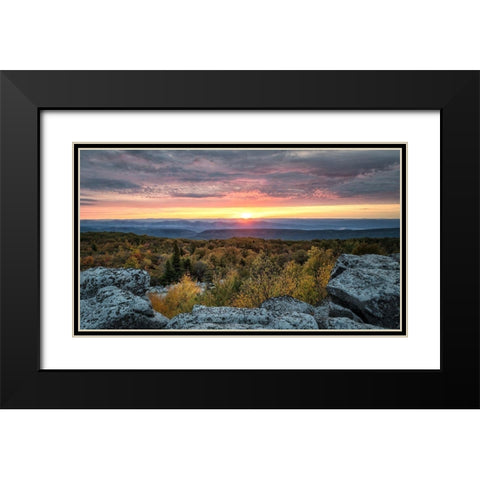 Yellow Dawn I Black Modern Wood Framed Art Print with Double Matting by Head, Danny