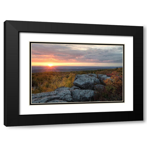 Yellow Dawn II Black Modern Wood Framed Art Print with Double Matting by Head, Danny