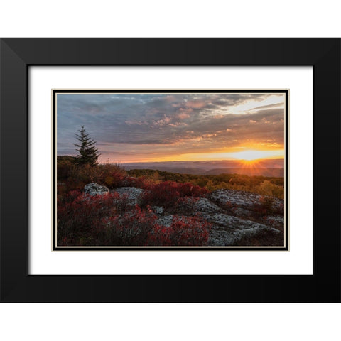 New Day I Black Modern Wood Framed Art Print with Double Matting by Head, Danny