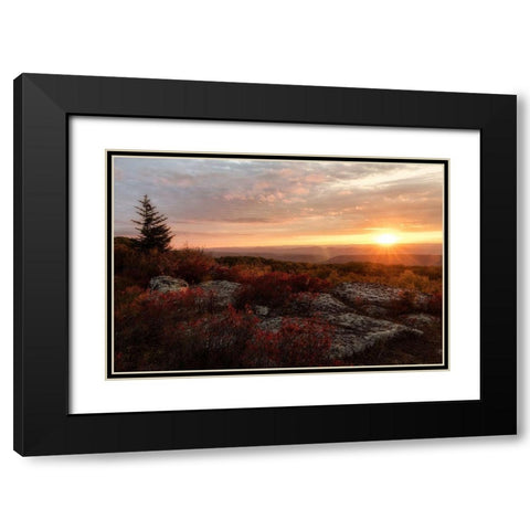 New Day II Black Modern Wood Framed Art Print with Double Matting by Head, Danny