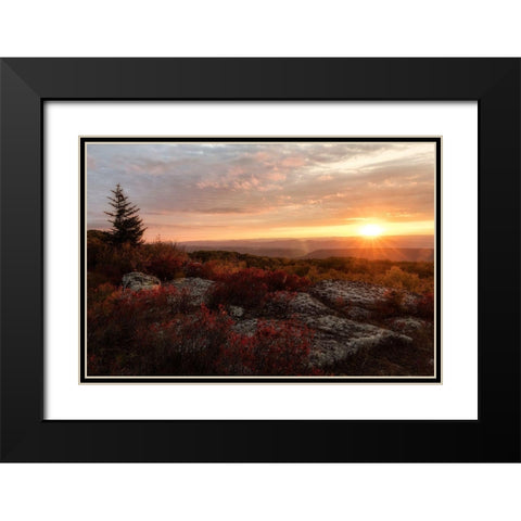 New Day II Black Modern Wood Framed Art Print with Double Matting by Head, Danny