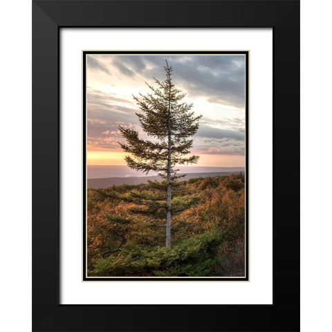 Standing Alone Black Modern Wood Framed Art Print with Double Matting by Head, Danny