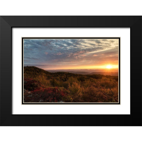 Beginnings Black Modern Wood Framed Art Print with Double Matting by Head, Danny