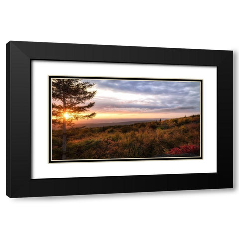 Coming Alive Black Modern Wood Framed Art Print with Double Matting by Head, Danny