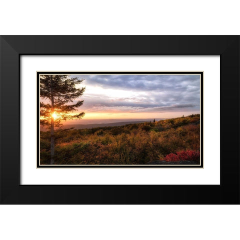 Coming Alive Black Modern Wood Framed Art Print with Double Matting by Head, Danny