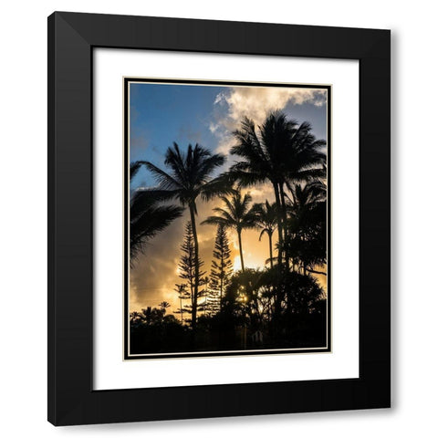 Palm Silouette II Black Modern Wood Framed Art Print with Double Matting by Head, Danny