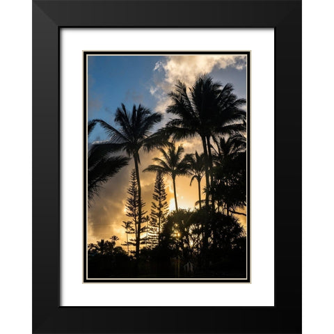 Palm Silouette II Black Modern Wood Framed Art Print with Double Matting by Head, Danny