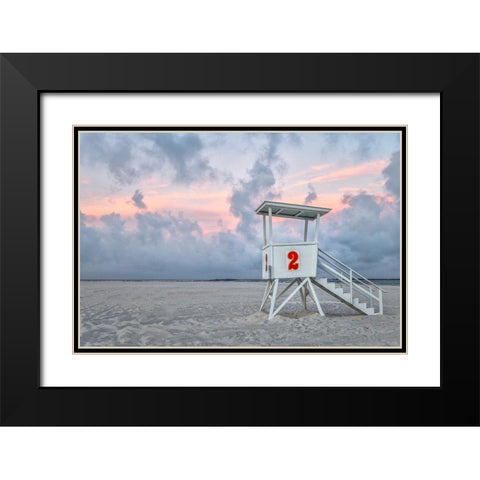 Standing Guard I Black Modern Wood Framed Art Print with Double Matting by Head, Danny