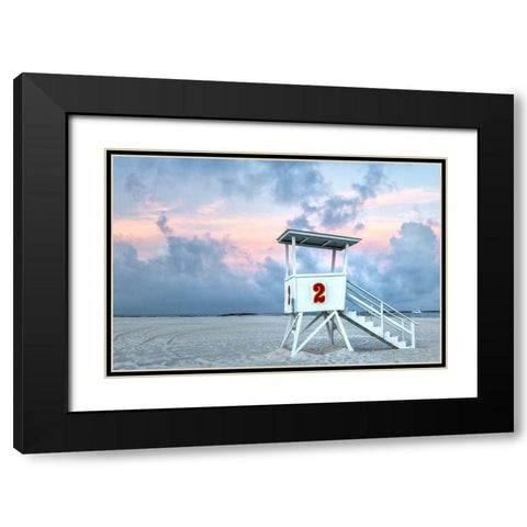 Standing Guard II Black Modern Wood Framed Art Print with Double Matting by Head, Danny