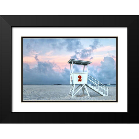 Standing Guard II Black Modern Wood Framed Art Print with Double Matting by Head, Danny
