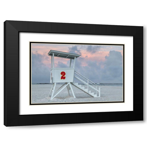 Standing Guard III Black Modern Wood Framed Art Print with Double Matting by Head, Danny