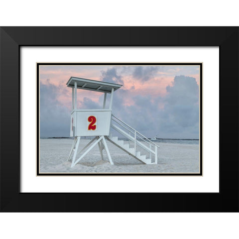 Standing Guard III Black Modern Wood Framed Art Print with Double Matting by Head, Danny