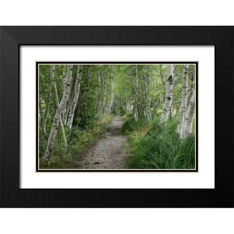 Summer Path III Black Modern Wood Framed Art Print with Double Matting by Head, Danny