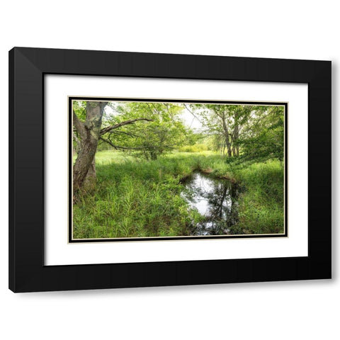 Reflecting Pool Black Modern Wood Framed Art Print with Double Matting by Head, Danny