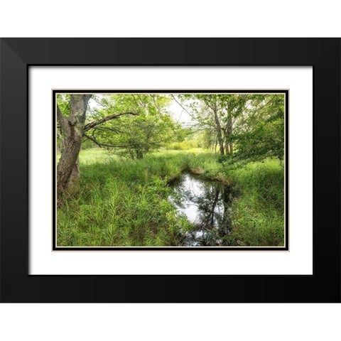 Reflecting Pool Black Modern Wood Framed Art Print with Double Matting by Head, Danny