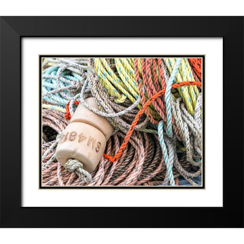 Knowing the Ropes I Black Modern Wood Framed Art Print with Double Matting by Head, Danny