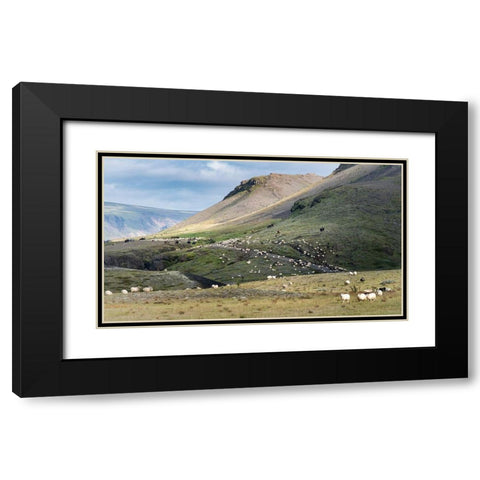 Herding Sheep II Black Modern Wood Framed Art Print with Double Matting by Head, Danny