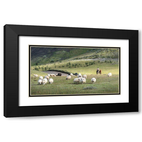 Herding Sheep III Black Modern Wood Framed Art Print with Double Matting by Head, Danny