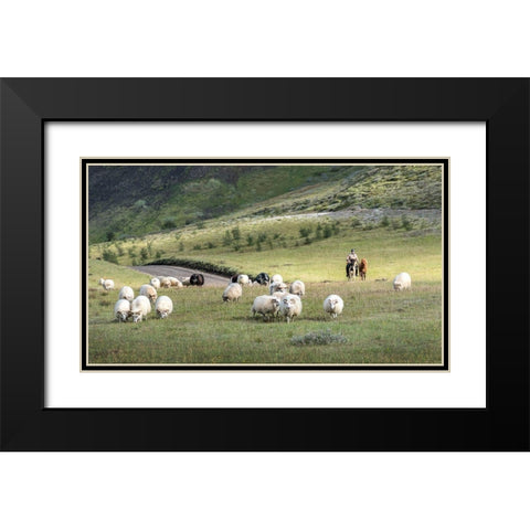 Herding Sheep III Black Modern Wood Framed Art Print with Double Matting by Head, Danny