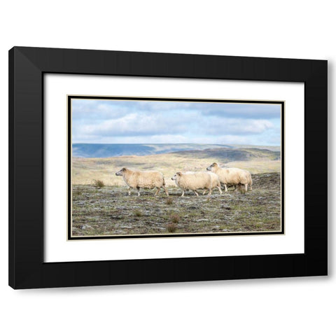 Three Friends Black Modern Wood Framed Art Print with Double Matting by Head, Danny