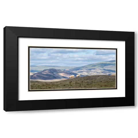 Highland Grazing I Black Modern Wood Framed Art Print with Double Matting by Head, Danny