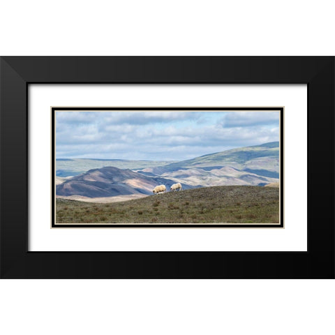 Highland Grazing I Black Modern Wood Framed Art Print with Double Matting by Head, Danny
