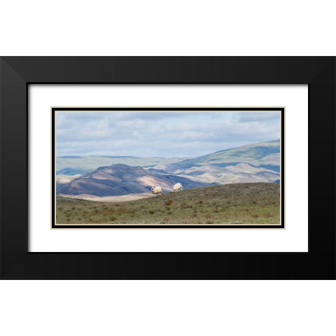 HIghland Grazing II Black Modern Wood Framed Art Print with Double Matting by Head, Danny